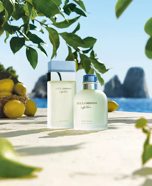 Dolce & Gabbana Light Blue (women) 3.3 fl oz