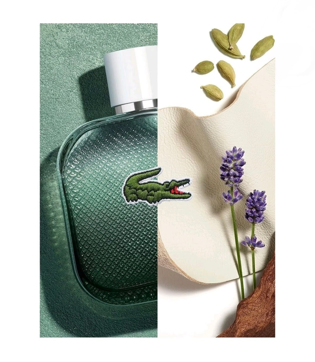 Lacoste L.12.12 Blanc Intense EDT for Men – 3.3 fl oz