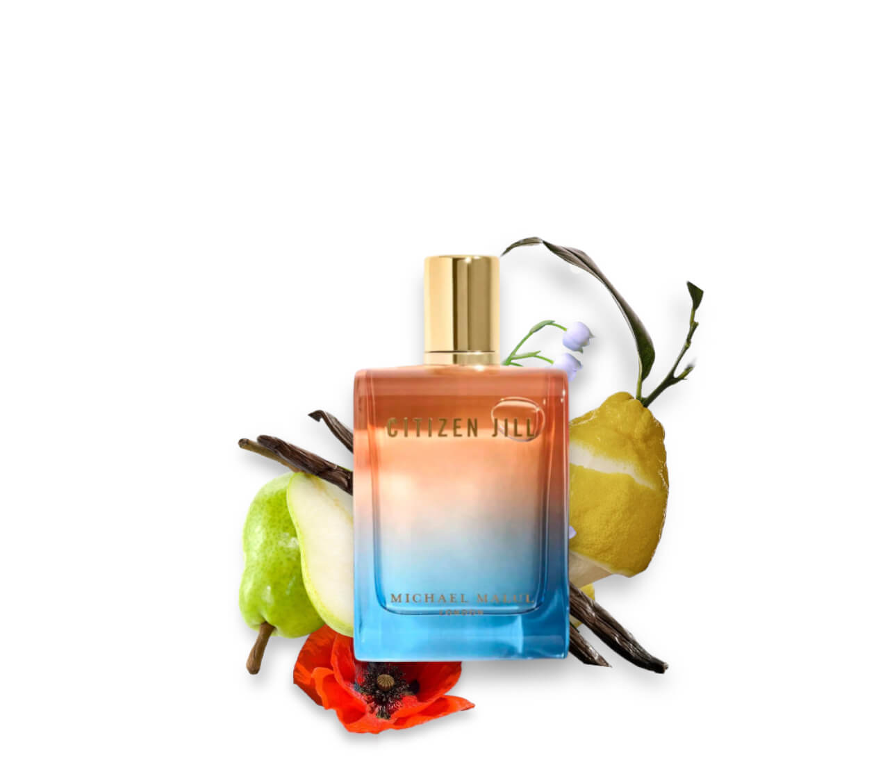 Citizen Jill by Michael Malul EDP 3.4 oz - Unisex Luxury Fragrance