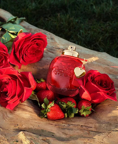 Coach New York Love Set 