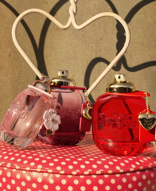 Conjunto Coach New York Love
