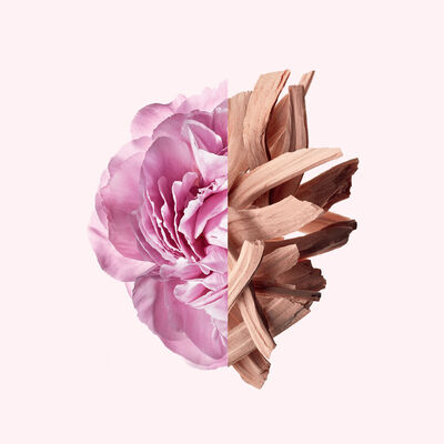 Irresistible Givenchy EDT 2.7 fl oz