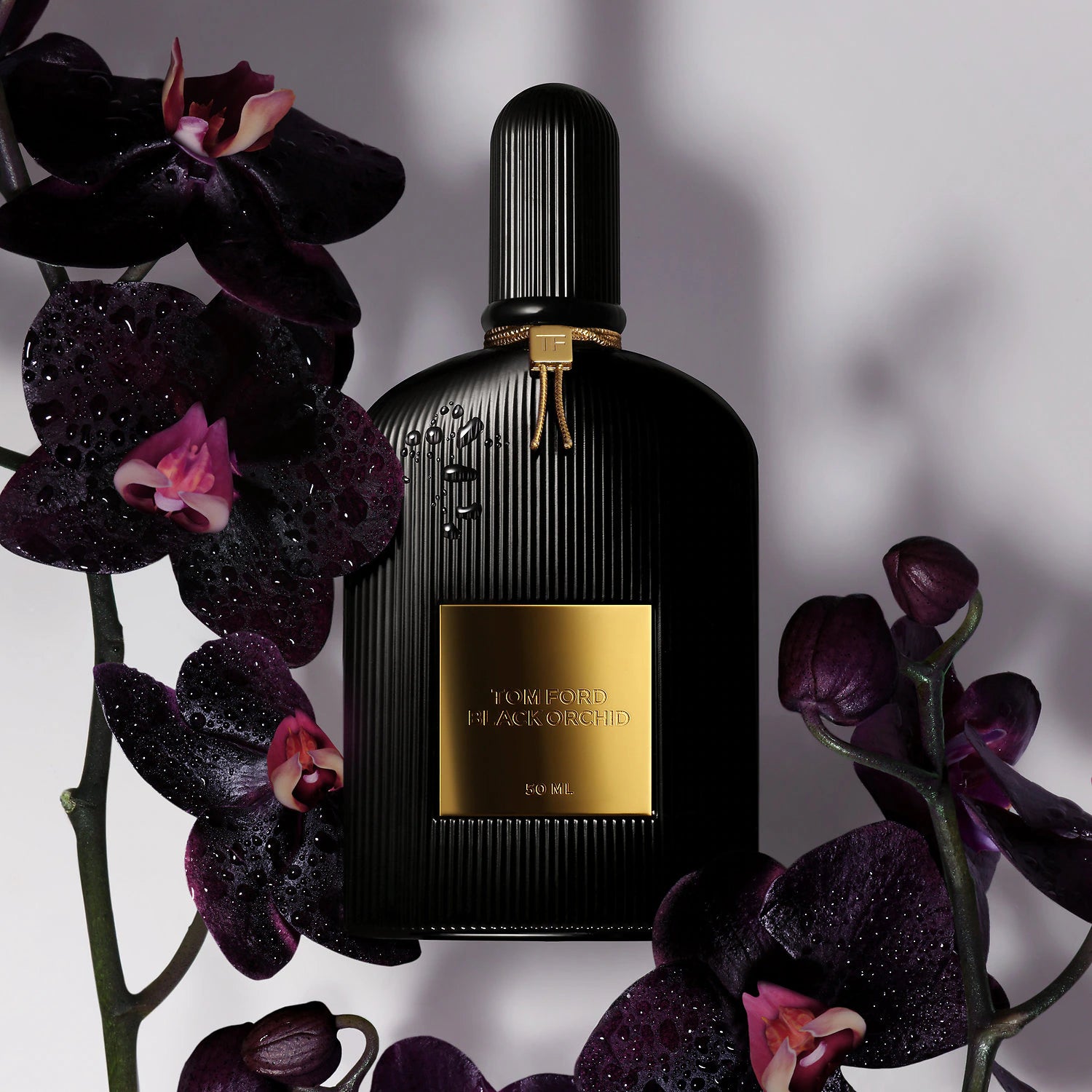 Tom Ford Black Orchid EDP 3.4 fl oz